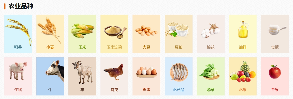 中国农业农村信息网