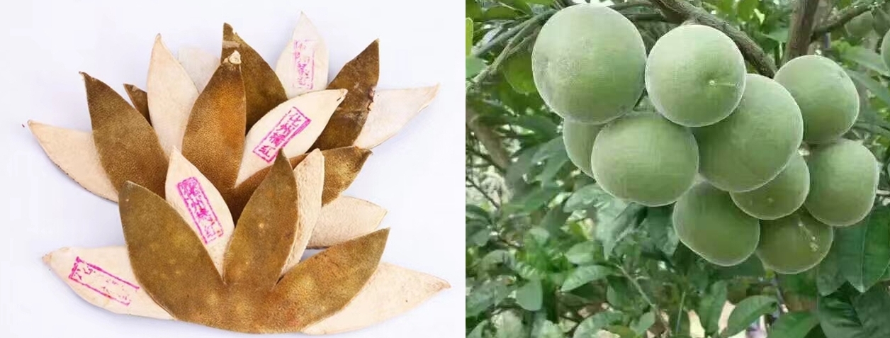 化橘红成品和青果