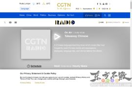 国际在线--明星