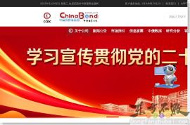 中国债券信息网
