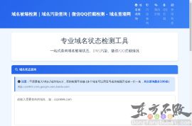 域名查墙网