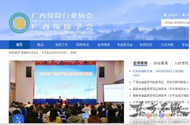 广西保险行业网