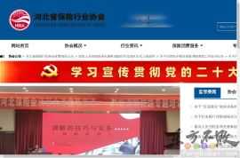 河北省保险行业协会