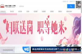 湖北三峡人才市场(政府)