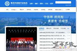 青岛保险行业协会