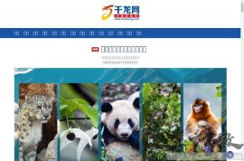 千龙网