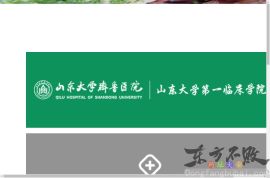 山东大学齐鲁医院