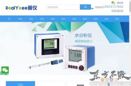 德国E+H水分析仪