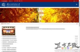 对外经济贸易大学