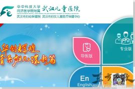 武汉市儿童医院