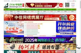 中国信鸽信息网