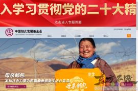 中国妇女发展基金会