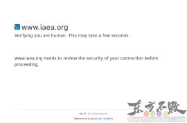 国际原子能机构