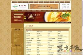 中医网药膳