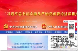 中央纪委国家监委网站
