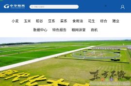 中华粮网