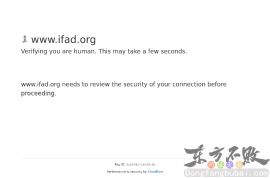 联合国农业发展基金组织