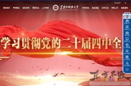 黑龙江科技学院