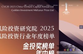 中国风险投资研究院